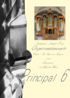 Principal 6