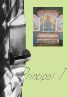 Principal 7
