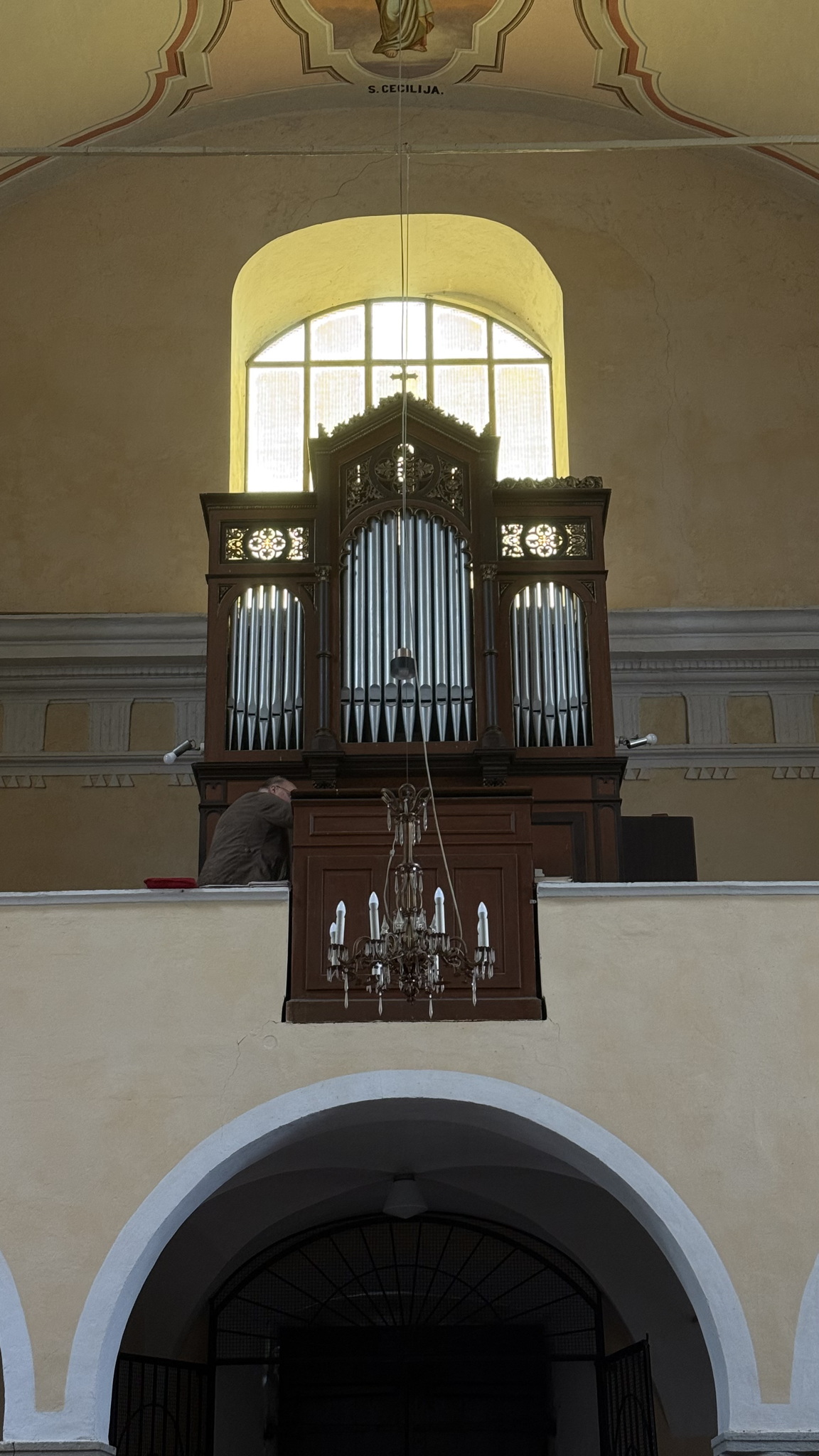 Orgel